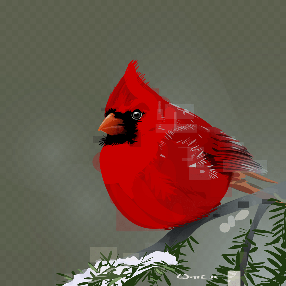 Cardinal Northern Cardinal, Animal, Bird, Chicken, Fowl Png