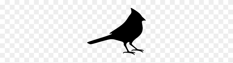 Cardinal Silhouette I Like This Because You Know Its A Cardinal, Animal, Bird, Blackbird, Stencil Free Transparent Png