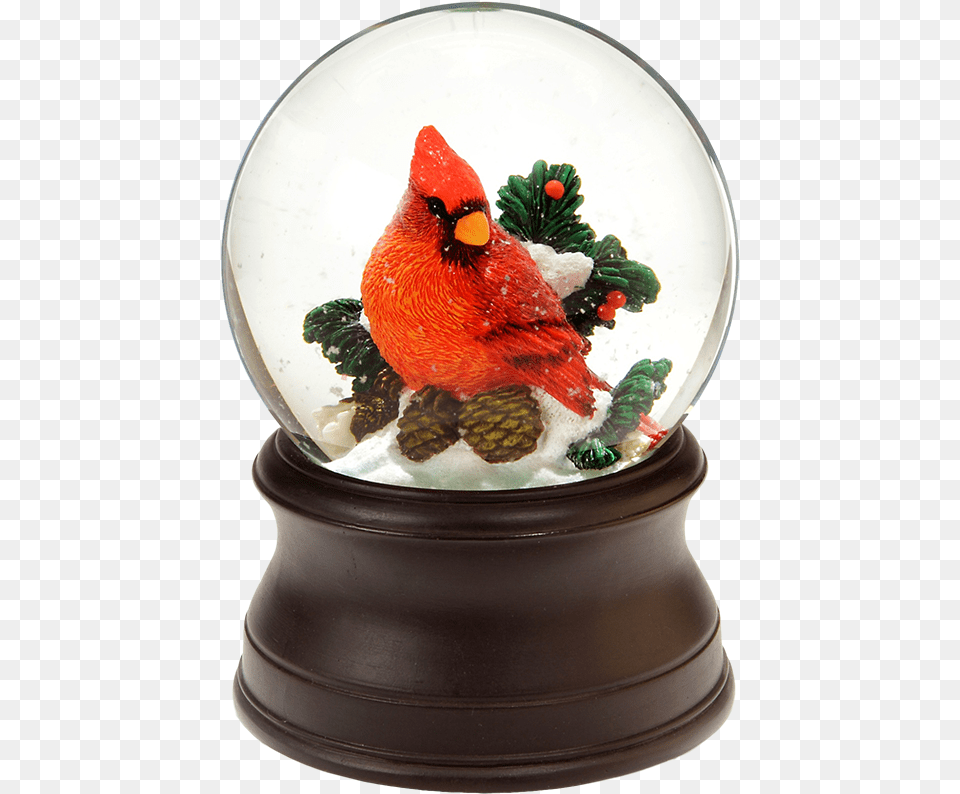 Cardinal Snow Globeclass Snow Globe, Animal, Beak, Bird Free Png Download