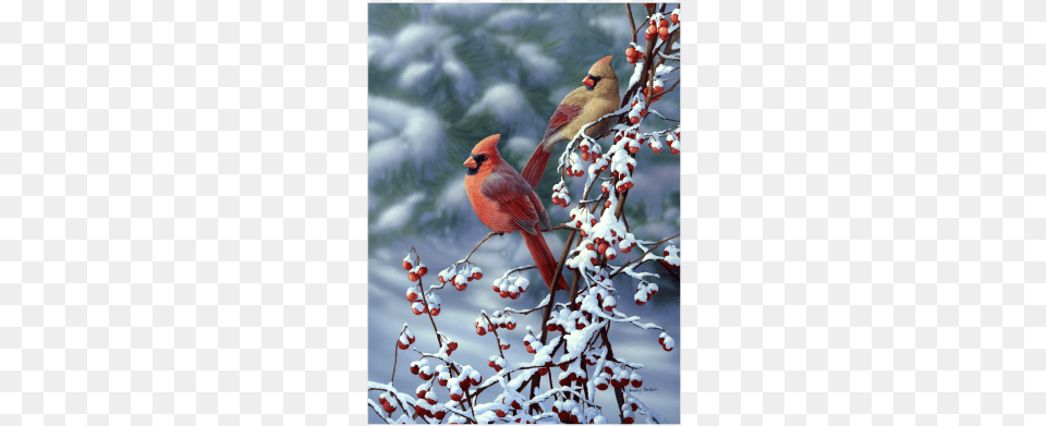 Cardinals 39n39 Snow Limited Edition Print Lighted Canvas Winter Window Wall Art Country Cardinals, Animal, Beak, Bird, Finch Free Png