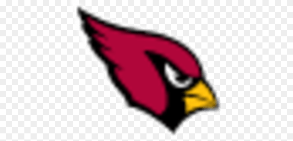 Cardinals Arizona Cardinals Logo, Animal, Beak, Bird, Baby Free Png