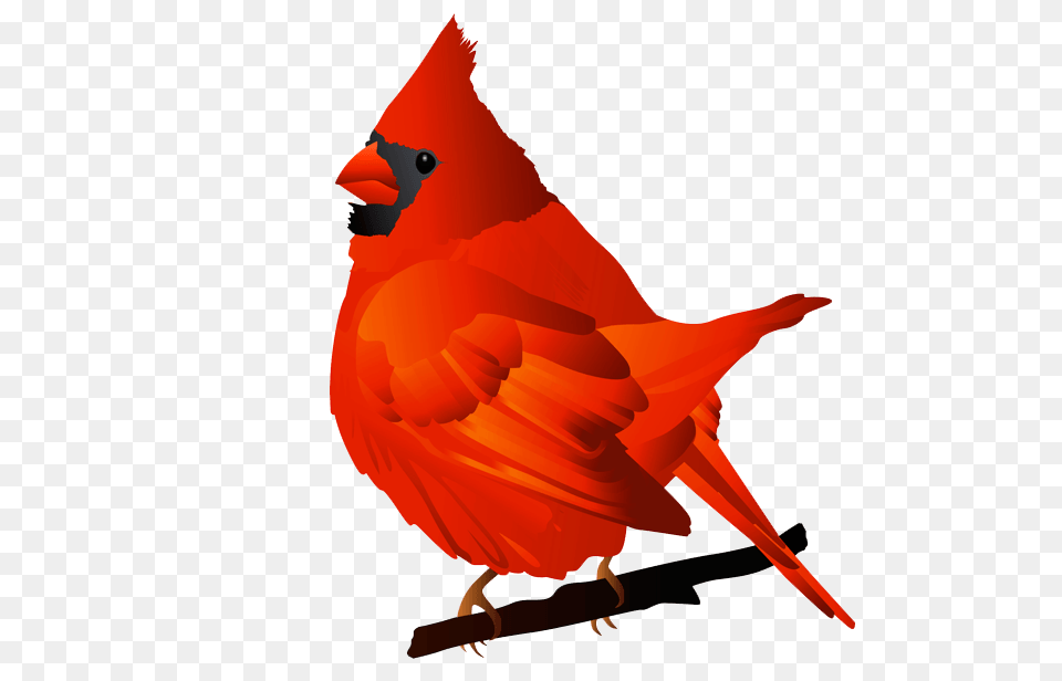 Cardinals Cliparts, Animal, Bird, Cardinal Free Png