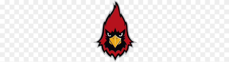 Cardinals Logo Information, Animal, Beak, Bird, Symbol Free Png Download