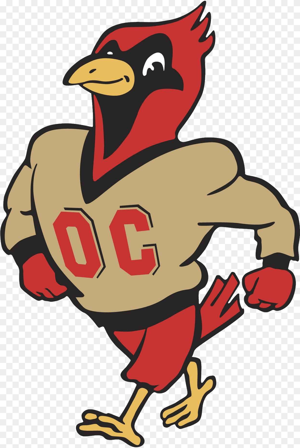 Cardinals Otterbein University Div Iii Ohio Athletic Otterbein Cardinals, Animal, Beak, Bird, Baby Free Png