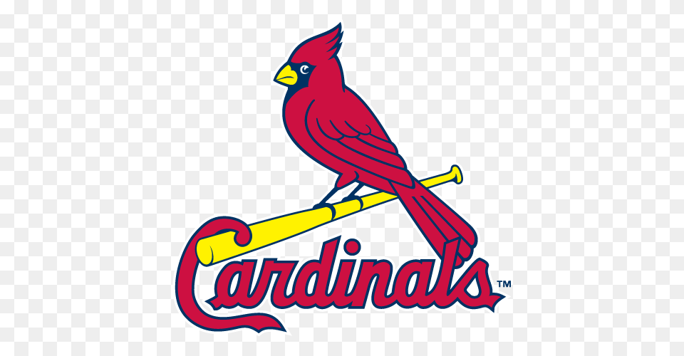 Cardinals Vs Cubs, Animal, Bird, Cardinal Free Png Download