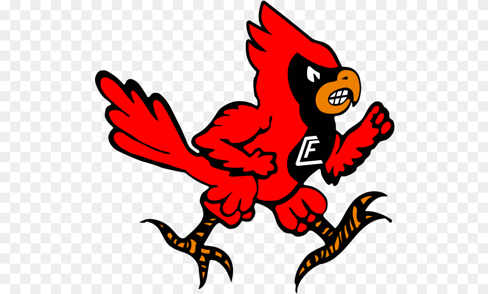Cardinalslogo 0 High School Chippewa Falls Cardinals, Baby, Person, Animal, Bird Free Png Download