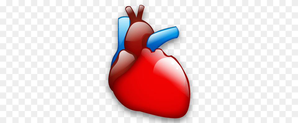 Cardiology Heart Organ Icon Cardiology Icon, Food, Ketchup Png