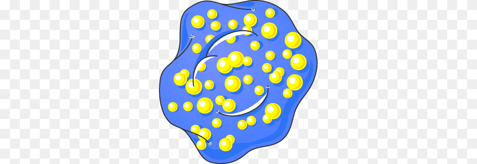 Cardiovascular System Archives, Animal, Sea Life Free Png