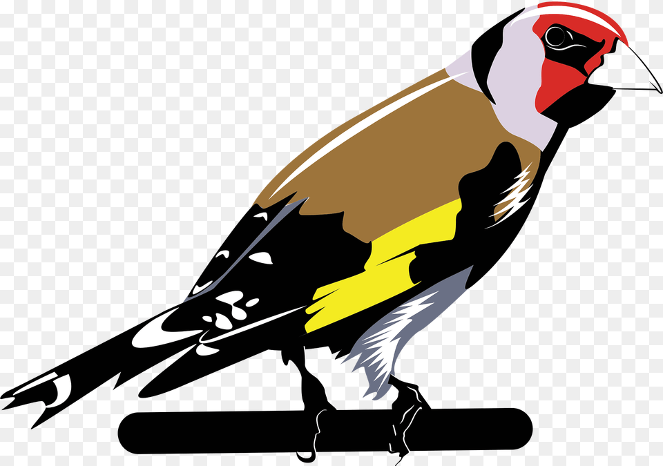 Carduelis Clipart, Animal, Bird, Finch, Beak Png Image
