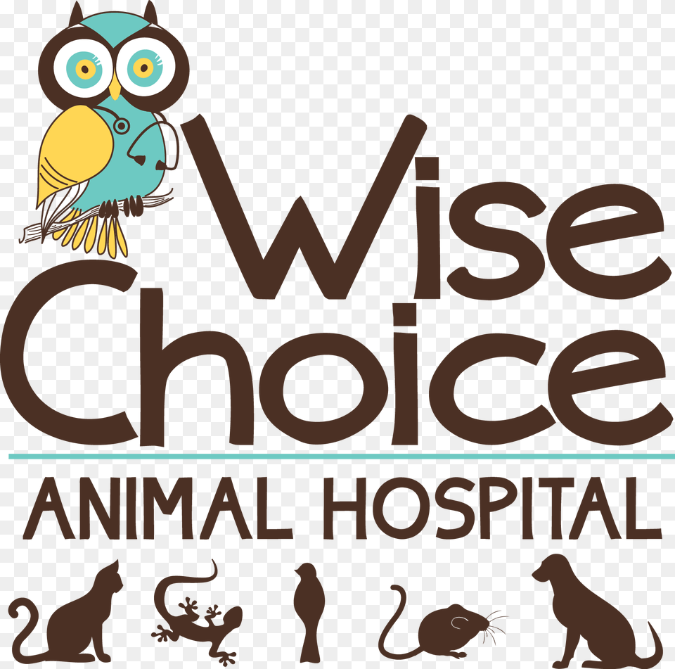 Care Credit Logo Wise Choice Logo, Dog, Animal, Pet, Canine Png Image