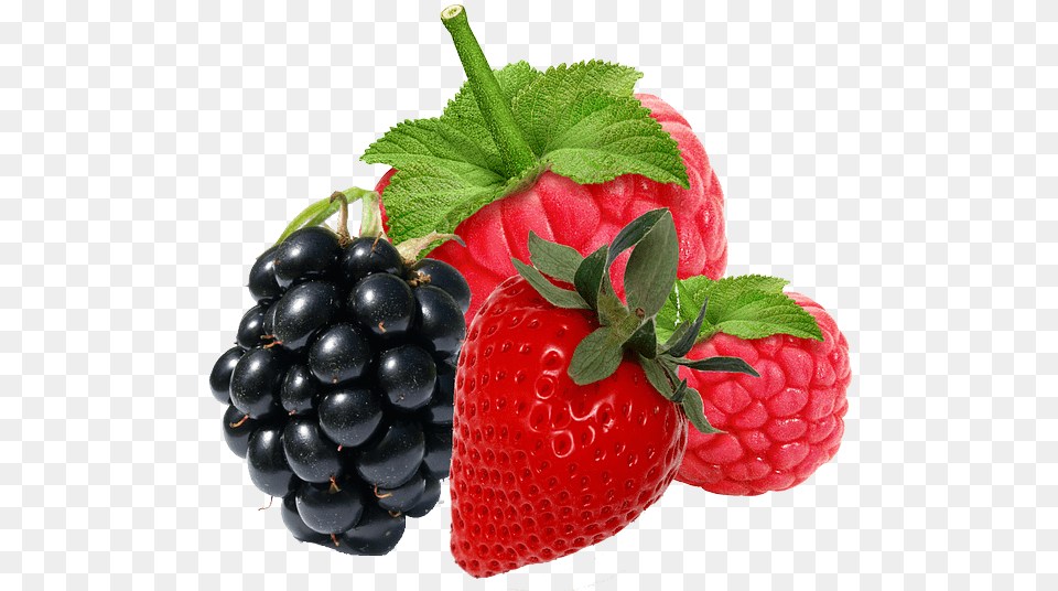 Carenel Lip Sleeping Mask, Berry, Food, Fruit, Plant Png Image