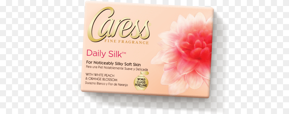 Caress Beauty Bar Daily Silk 315 Oz 6 Bar White, Dahlia, Flower, Paper, Plant Free Transparent Png