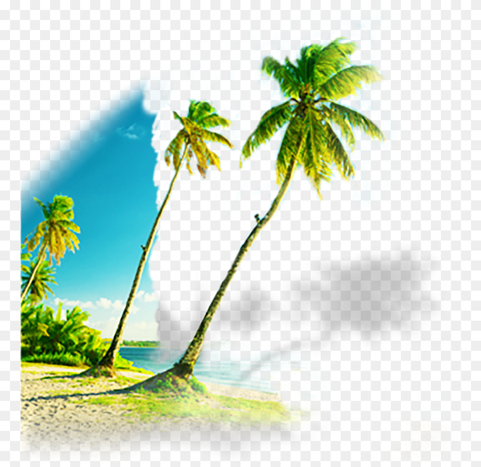 Caribbean, Summer, Land, Nature, Outdoors Free Png Download