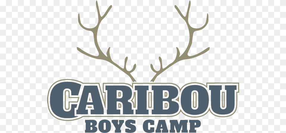 Caribou Boys Camp Antler, Animal, Deer, Mammal, Wildlife Free Png