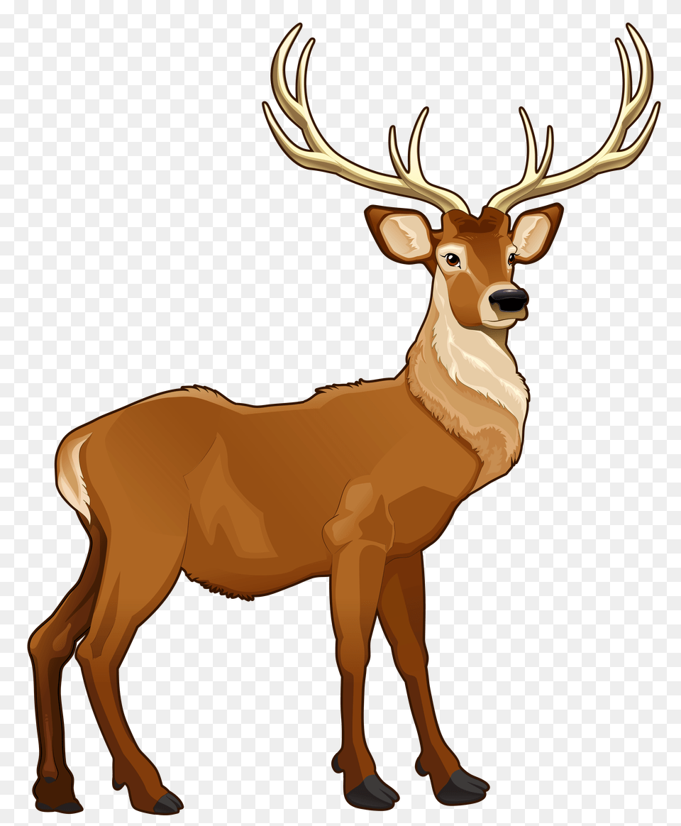 Caribou Clipart Cute, Animal, Deer, Elk, Mammal Free Png