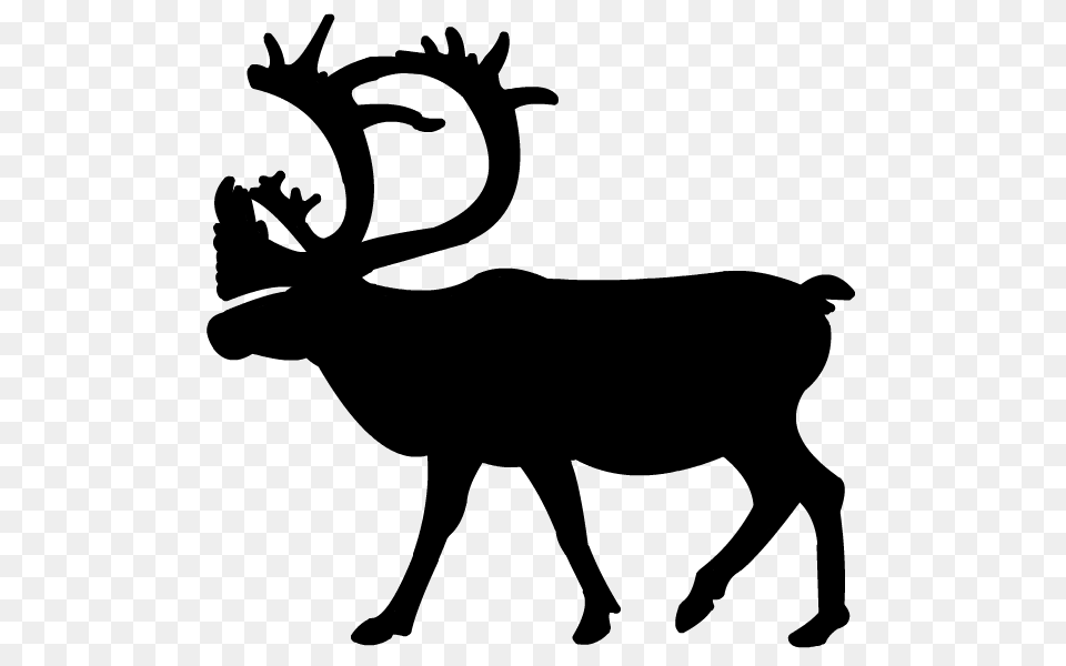 Caribou Clipart Wildlife, Gray Png