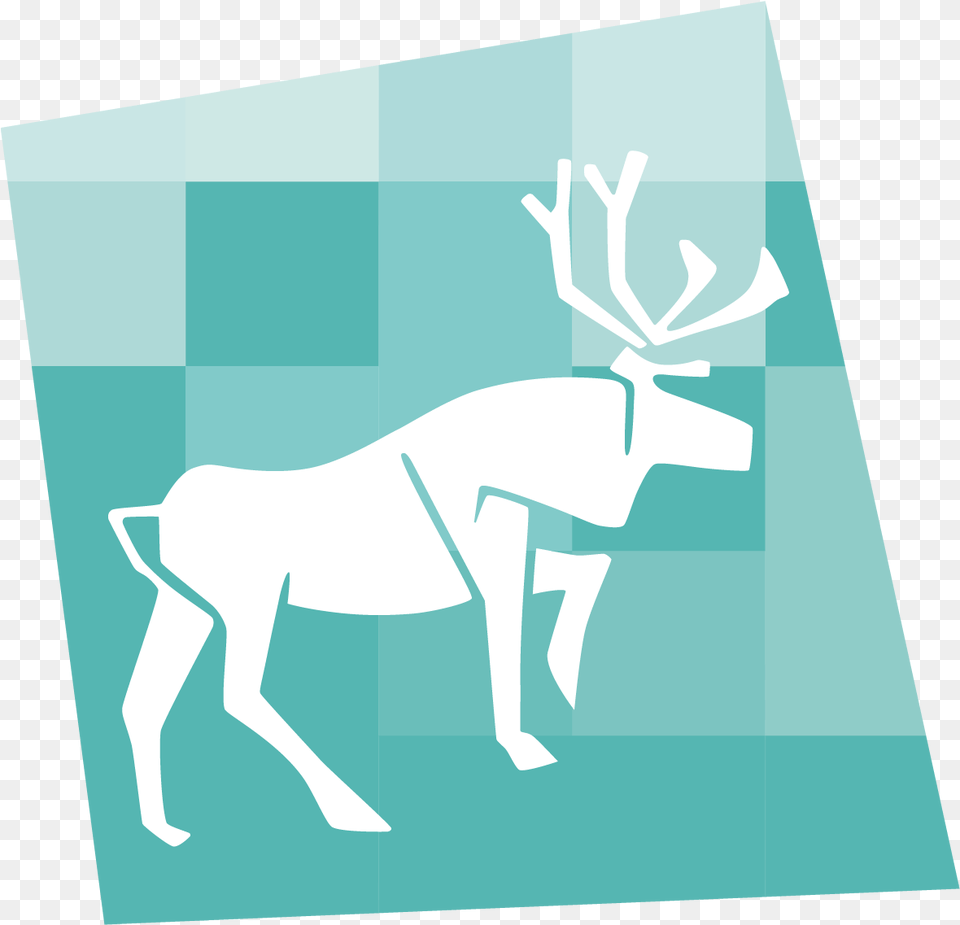 Caribou Data Caribou Data, Animal, Deer, Mammal, Wildlife Png Image