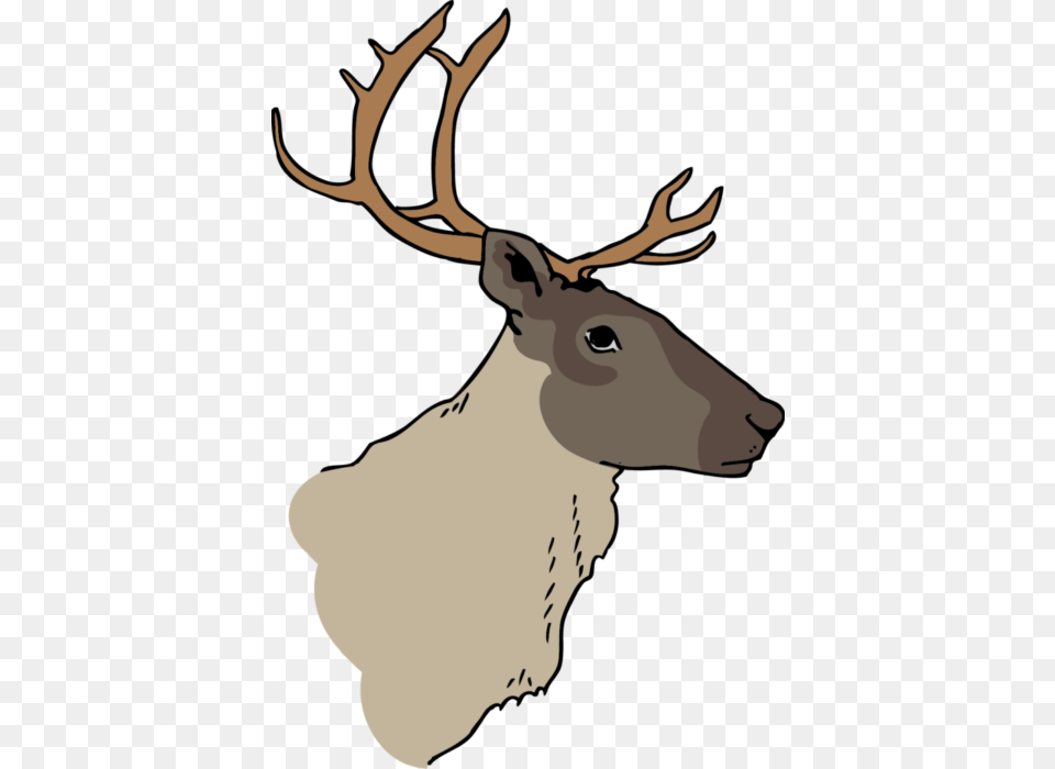 Caribou Figure Cpaws V2 Elk, Animal, Deer, Mammal, Wildlife Png Image
