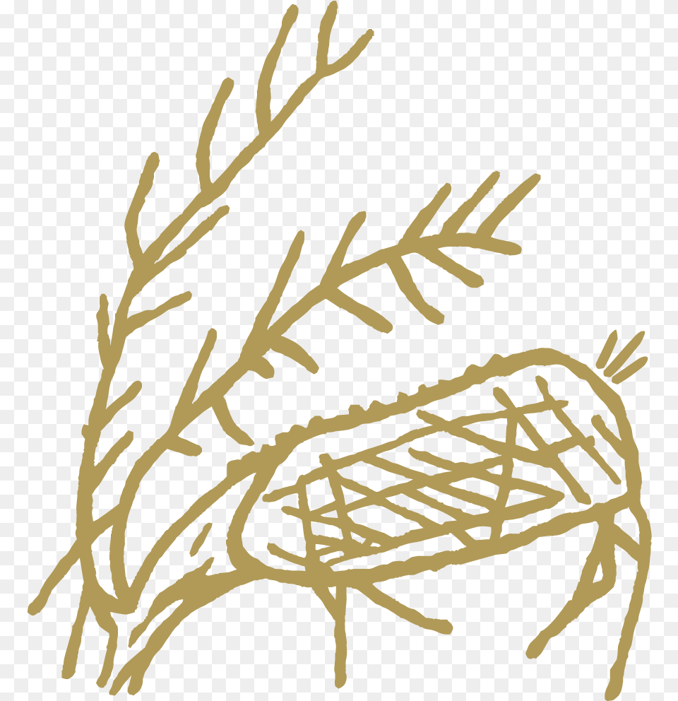 Caribou Logo Illustration, Person, Outdoors Free Transparent Png