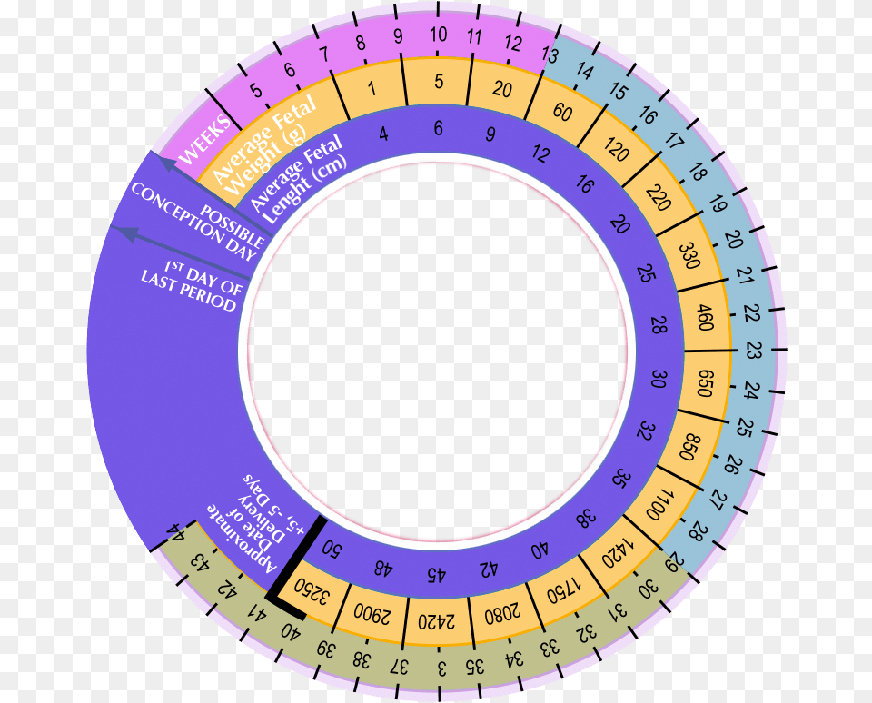 Cark Circle, Disk, Chart, Plot Free Png Download