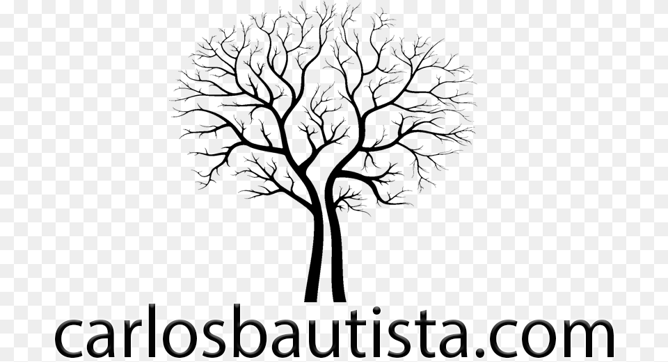 Carlos Bautista Photography Vector Images Trees Free Transparent Png