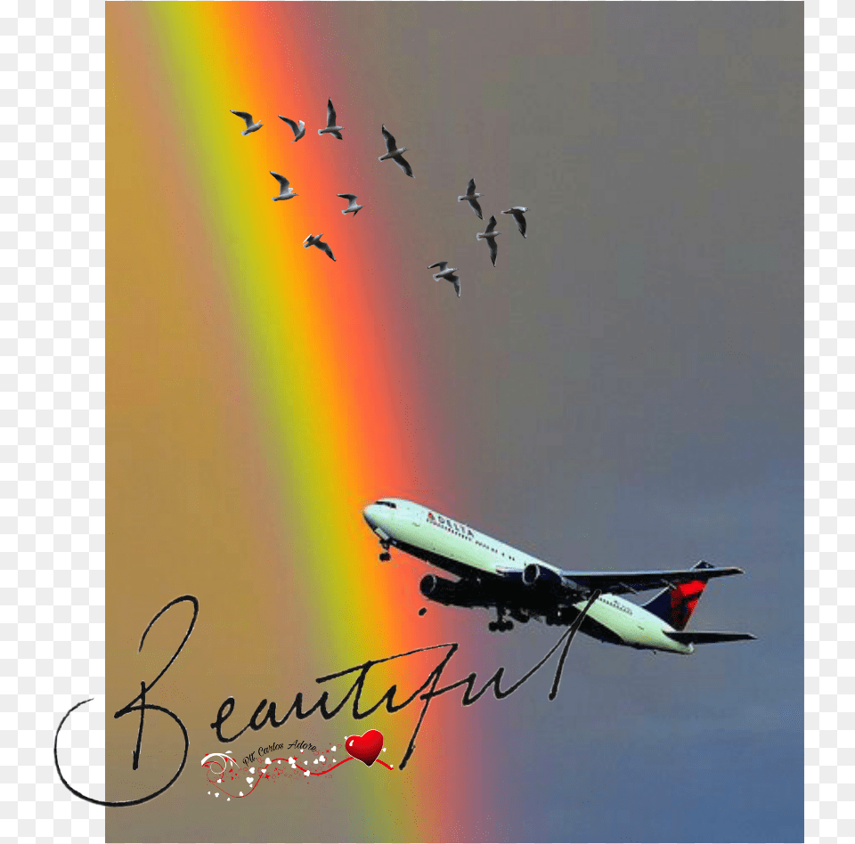 Carlosadore Sticker Airbus, Nature, Sky, Animal, Bird Png