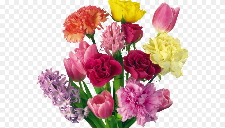 Carnation Bouquet Clipart, Flower, Flower Arrangement, Flower Bouquet, Plant Free Png
