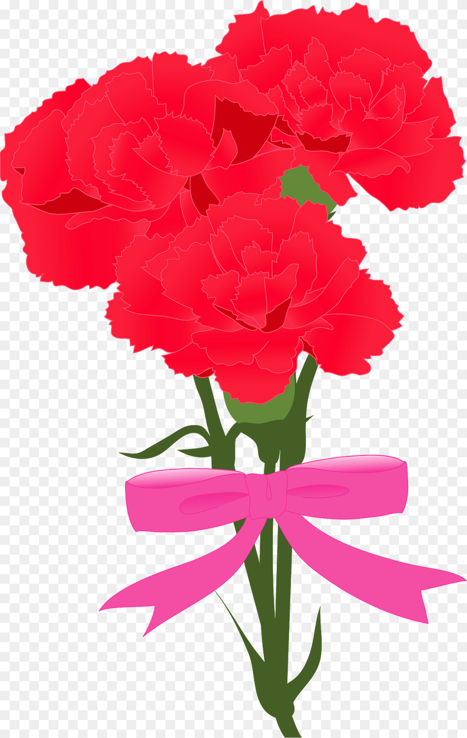 Carnation Bouquet For Mother39s Day Clipart, Flower, Plant, Rose Png