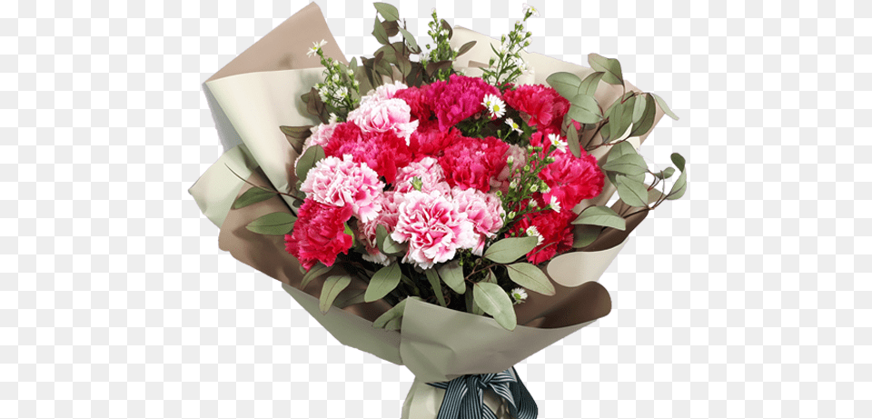 Carnation Carnation Bouquet Flowers For Teachers Uk Rose Nursery Plants, Flower, Flower Arrangement, Flower Bouquet, Plant Free Png Download