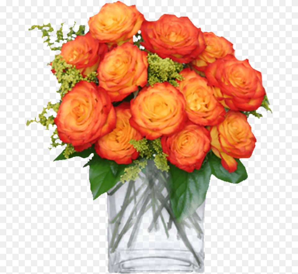 Carnation Carnations Flor Flores Flower Flowers Circus Roses, Art, Floral Design, Flower Arrangement, Flower Bouquet Free Transparent Png