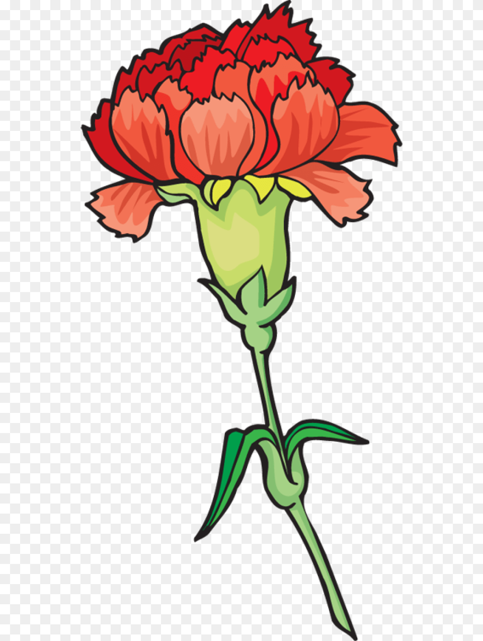 Carnation Clipart Group, Flower, Plant, Person Png Image