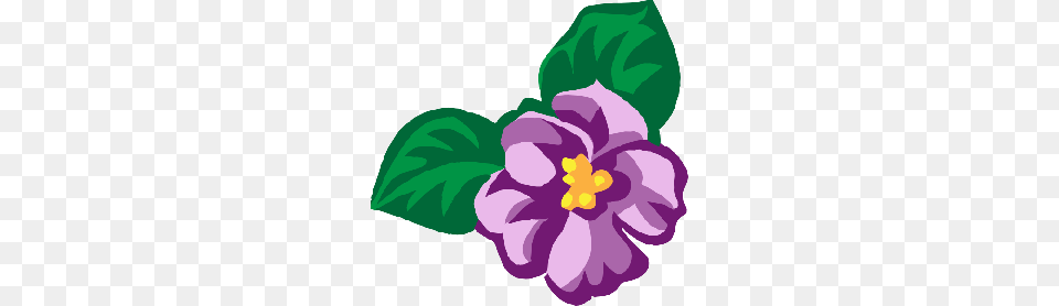 Carnation Cliparts, Flower, Plant, Purple, Anemone Png