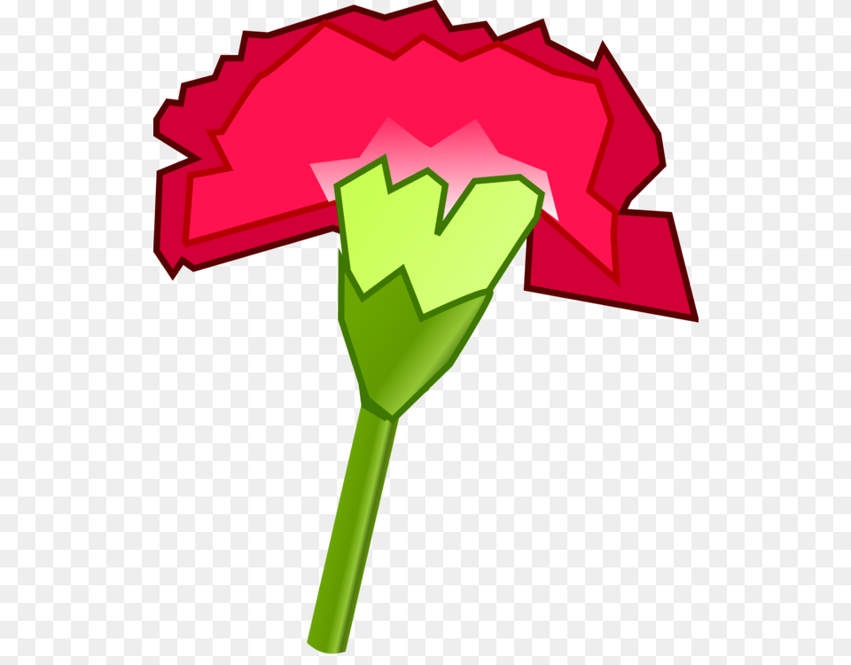 Carnation Download Computer Icons Ohio State Flower Free, Plant, Dynamite, Weapon, Rose Png Image