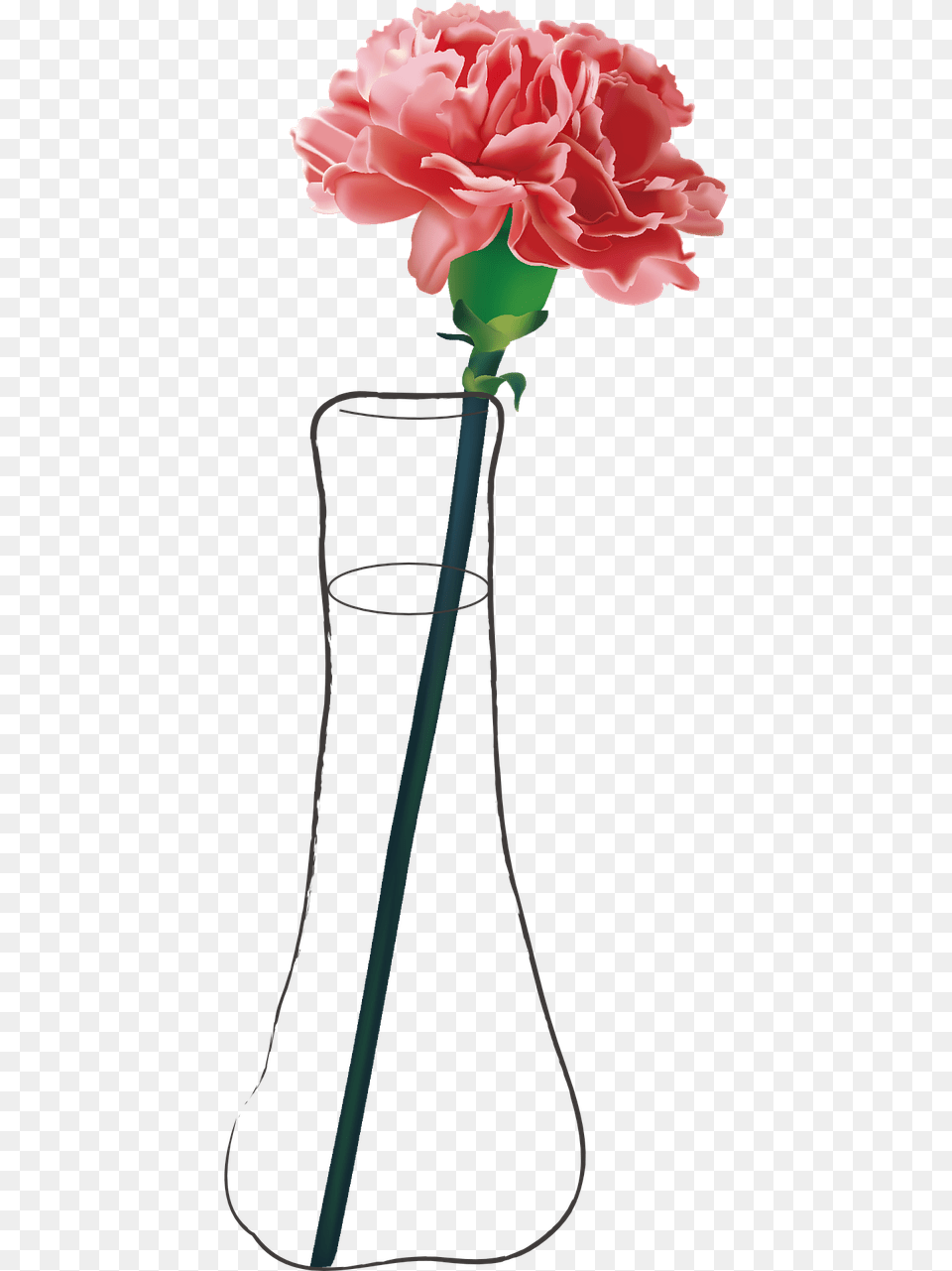 Carnation Flower, Flower Arrangement, Plant, Flower Bouquet, Rose Free Transparent Png