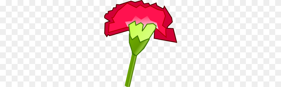 Carnation Flower Clip Art, Plant, Dynamite, Weapon, Rose Png