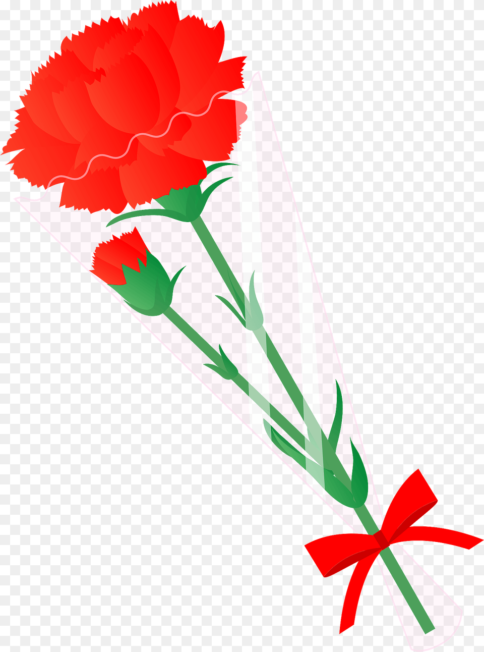 Carnation Flower Clipart, Plant, Clothing, Hat, Rose Free Png Download