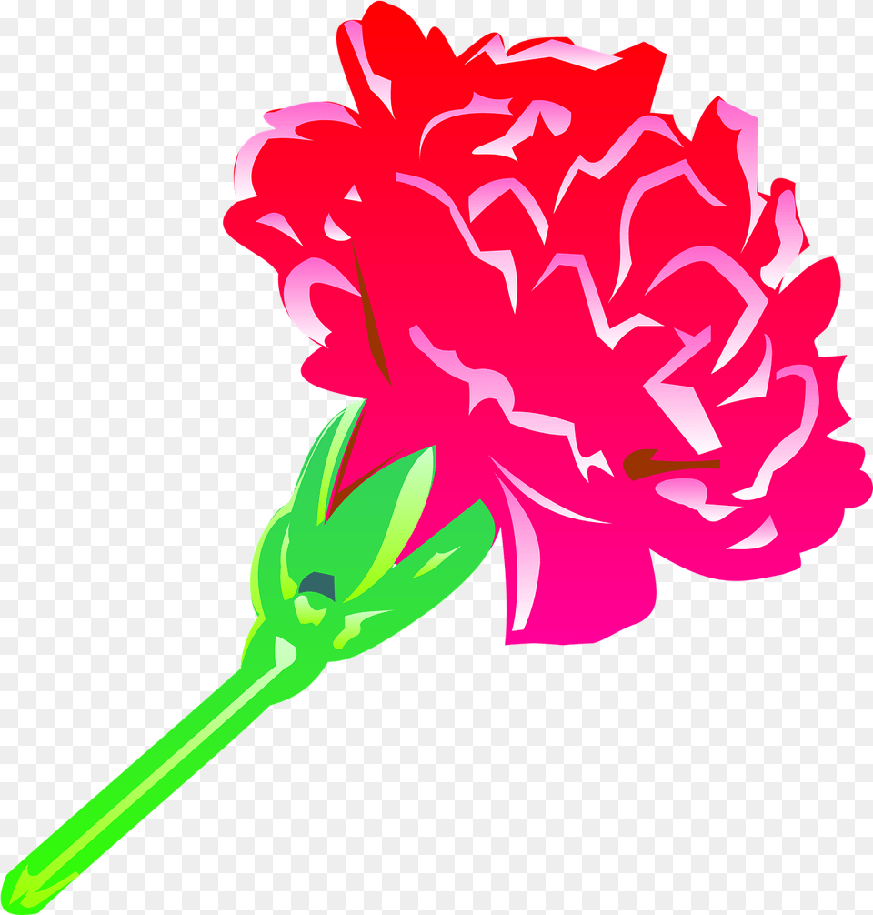 Carnation Flower Petals Cravo Flor Desenho, Plant, Dynamite, Weapon Free Transparent Png