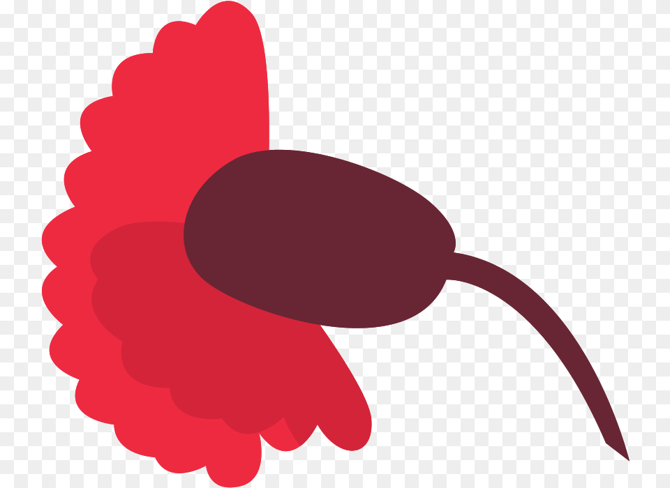Carnation Flower With Clip Art, Petal, Plant, Computer Hardware, Electronics Free Png Download