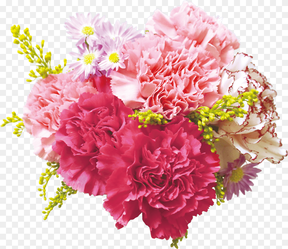 Carnation Flowers Transparent Background Transparent Background Real Flowers, Flower, Flower Arrangement, Flower Bouquet, Plant Free Png Download