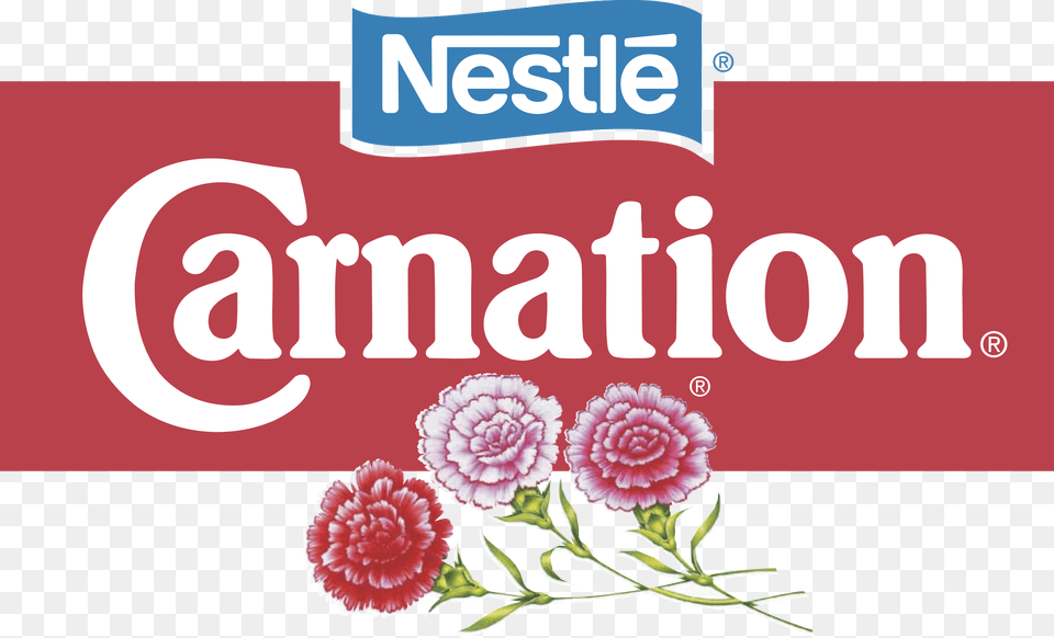 Carnation Logo Transparent Carnation Logo, Flower, Plant, Rose Free Png