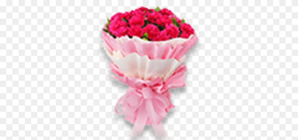 Carnation Love Flower Happy Teachers Day Gift, Flower Arrangement, Flower Bouquet, Plant, Petal Png