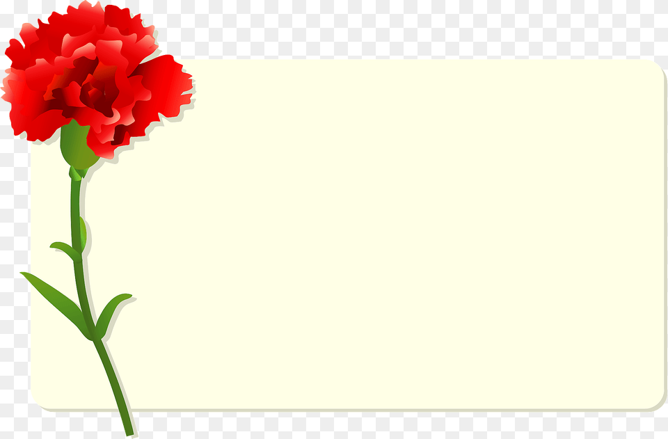 Carnation Mothers Day Card Clipart, Flower, Plant, Rose Free Transparent Png