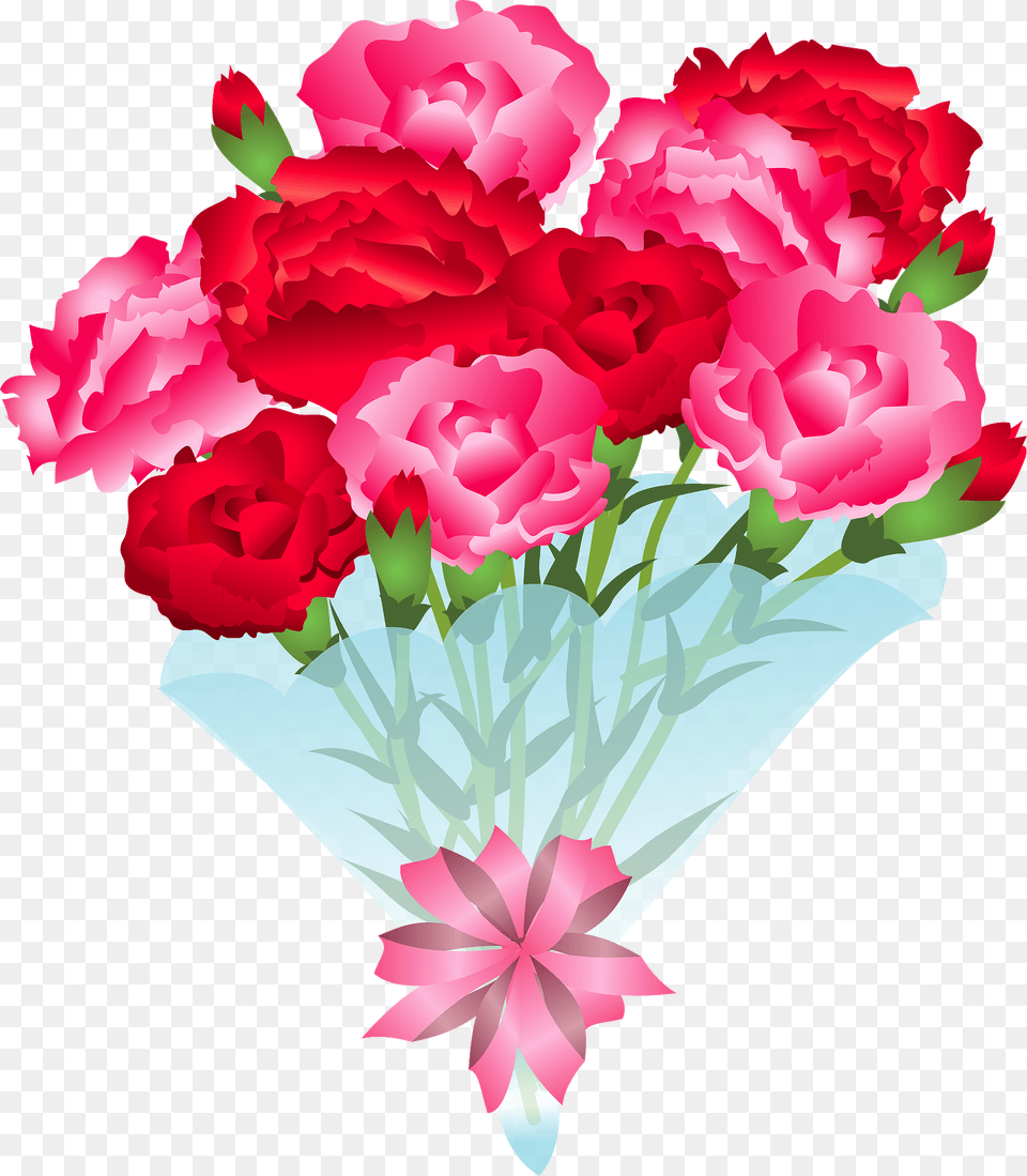 Carnation Mothers Day Clipart, Flower, Flower Arrangement, Flower Bouquet, Plant Png