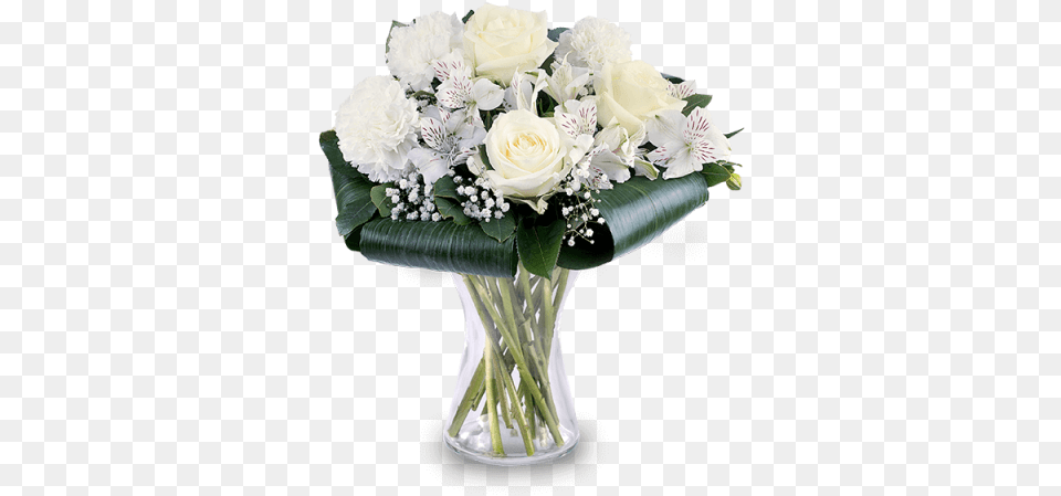 Carnations And Roses Carnation, Flower, Flower Arrangement, Flower Bouquet, Plant Png Image