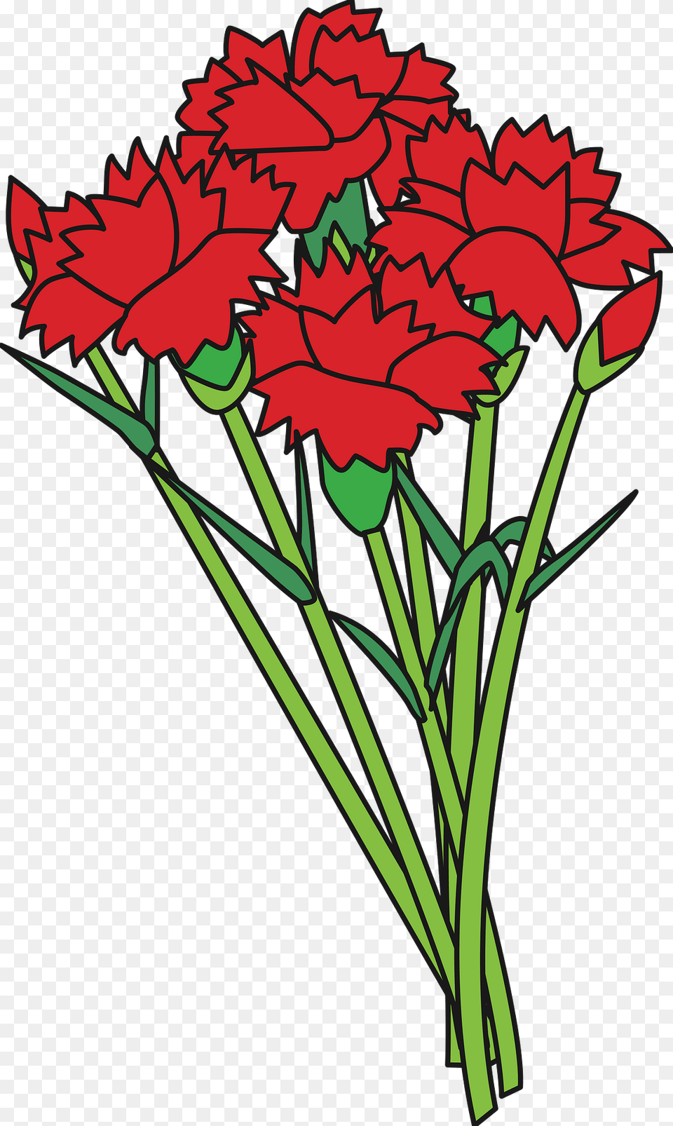 Carnations Bouquet Clipart, Carnation, Flower, Plant, Dynamite Free Png