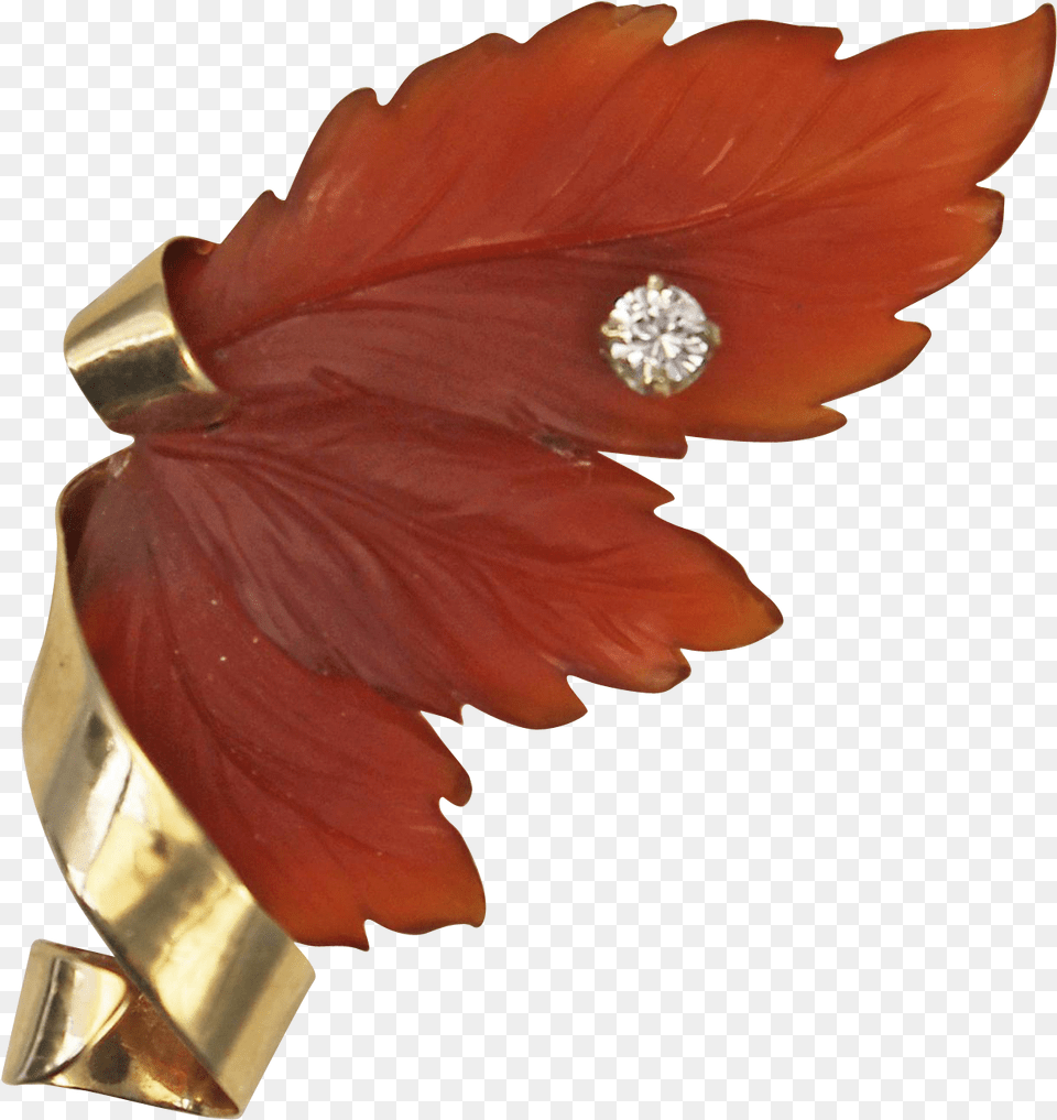 Carnelian And Diamond 14kt Gold Leaf Brooch Found At Brooch, Accessories, Gemstone, Jewelry, Earring Png