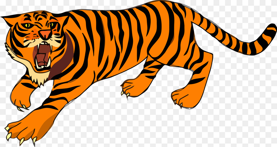Carnivoranlionbig Cats Tiger Clipart, Animal, Mammal, Wildlife Png