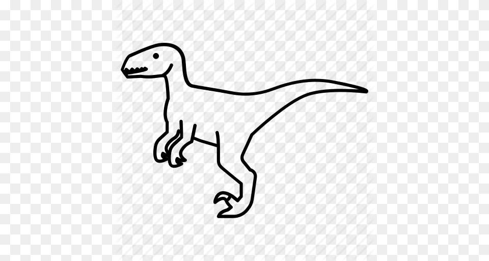 Carnivore Cretaceous Deinonychus Dinosaur Raptor Velociraptor, Animal, Reptile Free Png