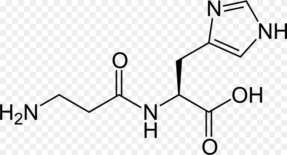 Carnosine 2d Skeletal Structure Of An Antioxidant, Gray Free Transparent Png
