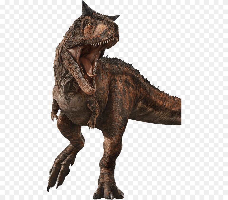 Carnotaurus Jurassic Park, Animal, Dinosaur, Reptile, T-rex Png Image